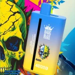 Bang Blaze 40K Puffs Dual Flavor Disposable Vape Peach Ice and Mango Peach