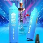 Bang Blaze 40K Puffs Shisha Refillable Vape