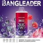 Bang Leader 20K Puffs Disposable Vape Dual Mesh Tiger Design  Shipping from EU Warehouse 1