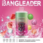Bang Leader 20K Puffs Disposable Vape Dual Mesh Tiger Design  Shipping from EU Warehouse 1