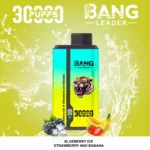 Bang Leader 30000 Puffs Disposable Vape 2-in-1 Dual Flavor