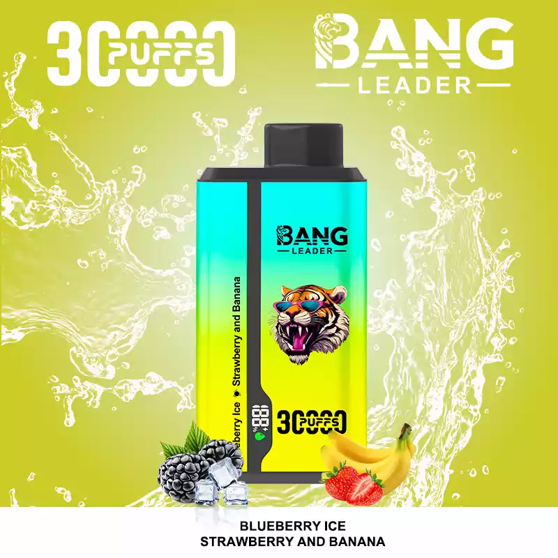 Bang Leader 30000 Puffs Disposable Vape 2-in-1 Dual Flavor Blueberry Ice & Strawberry Banana Bang Leader 30000 Puffs Disposable Vape 2-in-1 Dual Flavor Blueberry Ice & Strawberry Banana