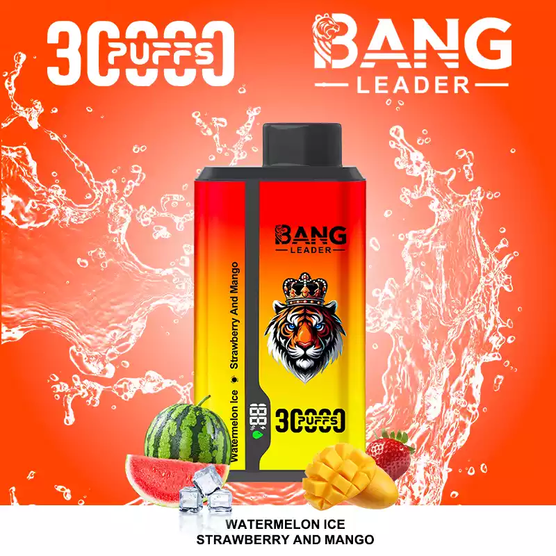 Bang Leader 30000 Puffs Disposable Vape 2-in-1 Dual Flavor Watermelon Ice & Strawberry Mango Bang Leader 30000 Puffs Disposable Vape 2-in-1 Dual Flavor Watermelon Ice & Strawberry Mango