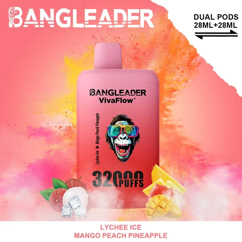 Bang Leader 32K Vape Dual Flavor 32000 Puffs Disposable Vape EU Warehouse Fast Shipping Lychee Ice & Mango Peach Pineapple Bang Leader 32K Vape Dual Flavor 32000 Puffs Disposable Vape EU Warehouse Fast Shipping Lychee Ice & Mango Peach Pineapple