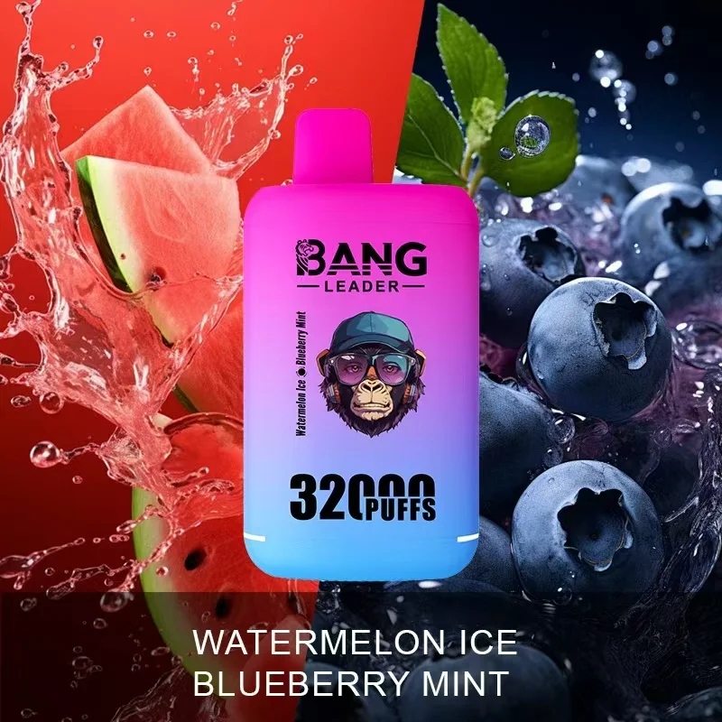 Bang Leader 32K Vape Dual Flavor 32000 Puffs Disposable Vape EU Warehouse Fast Shipping Watermelon Ice & Blueberry Mint Bang Leader 32K Vape Dual Flavor 32000 Puffs Disposable Vape EU Warehouse Fast Shipping Watermelon Ice & Blueberry Mint