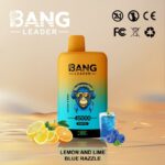Bang Leader 45K Vape Dual Flavor LED Screen 45000 Puffs Disposable Vape EU Warehouse Shipping