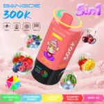 Bang DE 300K Vape 5in1 Flavors Main Image