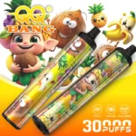 QQ Bang 30000 Puffs Vape Pen Watermelon Ice